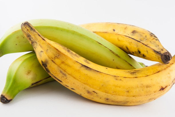 Plantain (count)