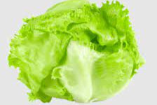 Lettuce (lbs)