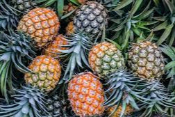 Pineapple (Whole)