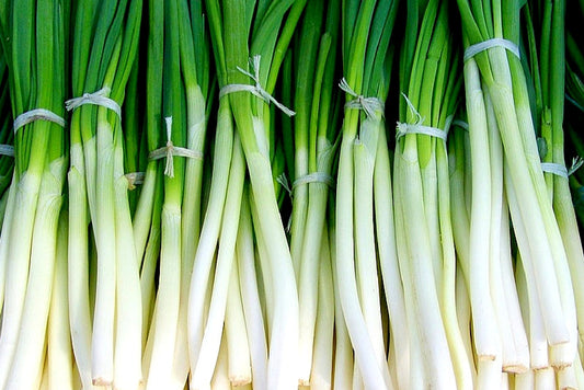Scallion & Thyme - White (Bundle)