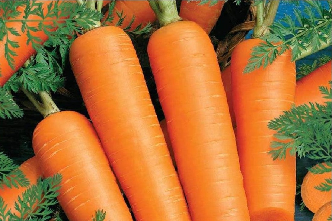 Carrot (lbs)