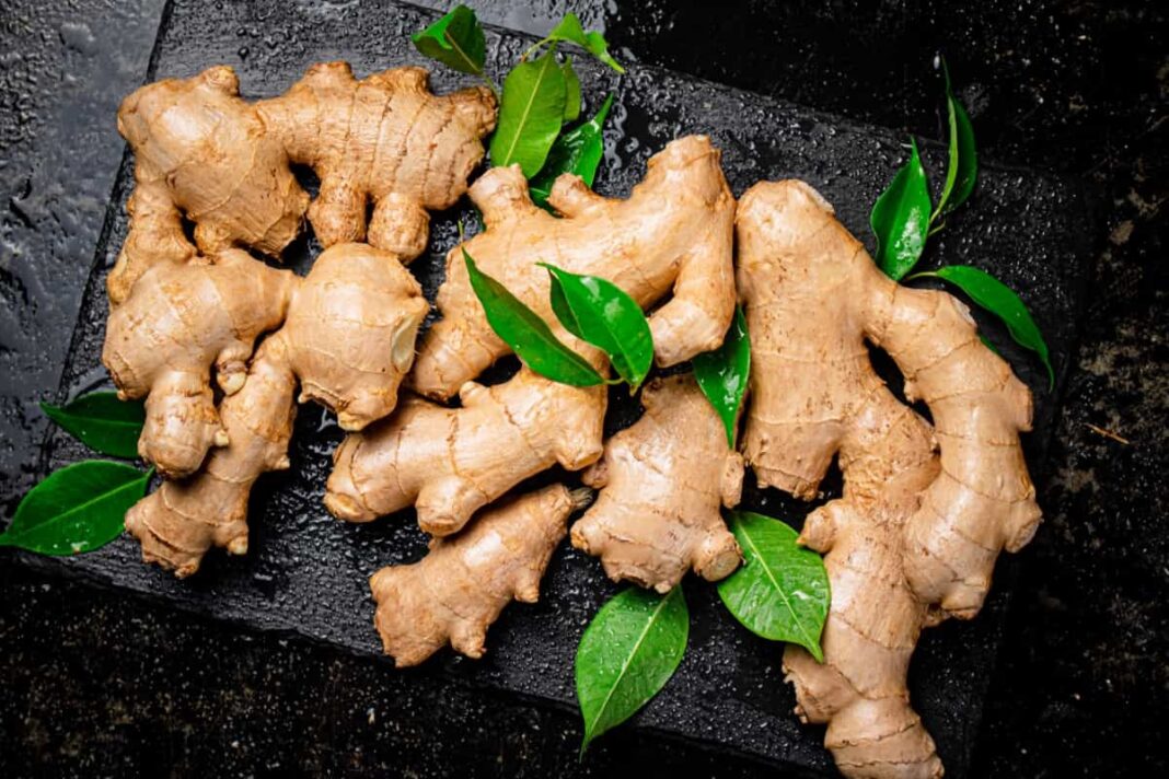 Ginger (lbs)