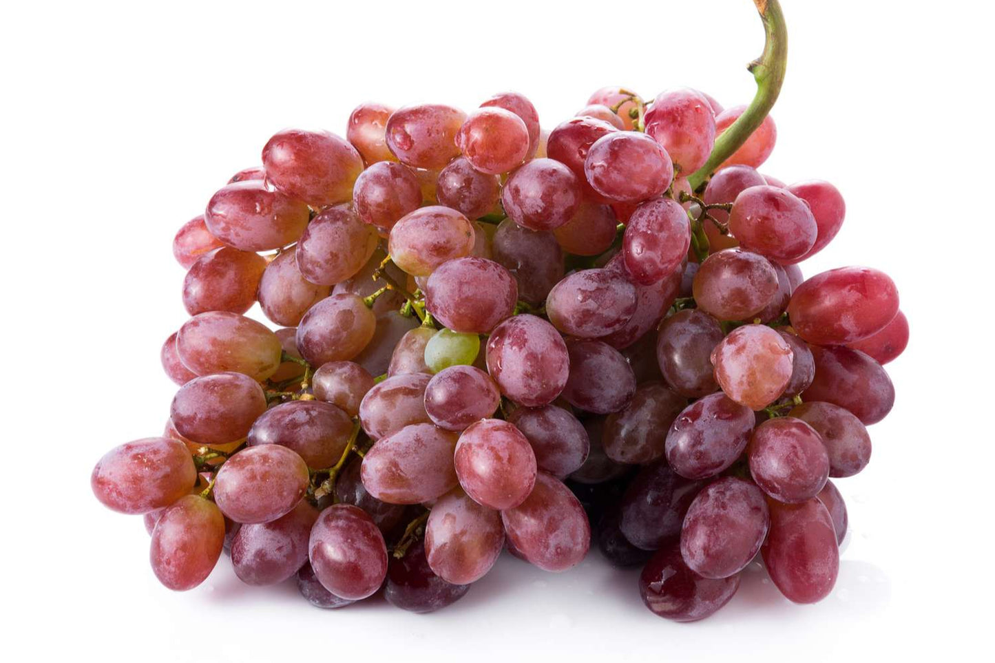 Fruits Starter Pack