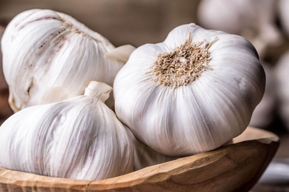 Garlic (Six Pack)